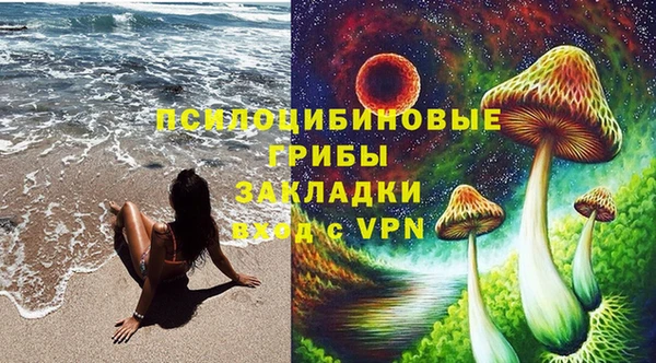 крисы Беломорск
