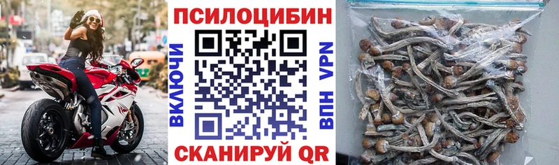 Псилоцибиновые грибы Psilocybine cubensis  kraken как зайти  Мезень 